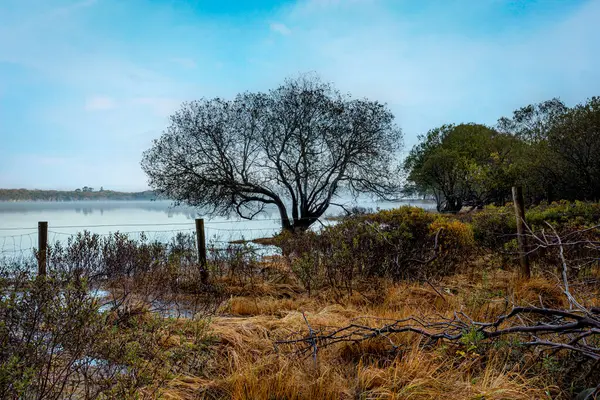 Killarney Ulusal Parkı 'nda Sonbahar, Kerry, İrlanda