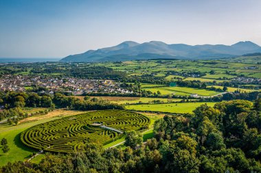 Lovely Castlewellan Orman Parkı, Mourne Dağları, Şehir Şafağı, Kuzey İrlanda