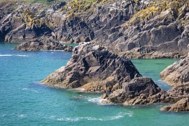 Berrak Su ve Rocky Kayalıkları, Saltee Adaları, Wexford, İrlanda
