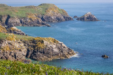 Berrak Su ve Rocky Kayalıkları, Saltee Adaları, Wexford, İrlanda
