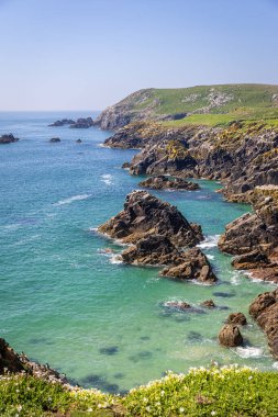 Berrak Su ve Rocky Kayalıkları, Saltee Adaları, Wexford, İrlanda