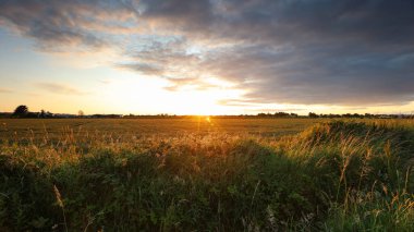 İrlanda Kırsal Bölgesi 'nde Güneş Batıyor, Clogherhead County Louth, İrlanda Cumhuriyeti