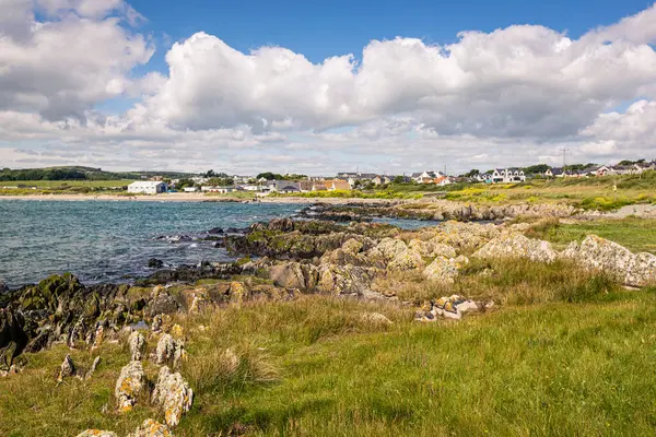 Clogherhead Yürüyüşü, Oriel Limanı, County Louth, İrlanda Cumhuriyeti