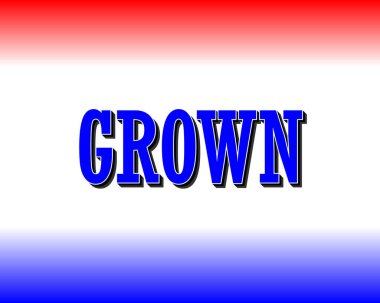 Mavili ve Beyazlı CROWN Metin Efekti Kırmızı-Beyaz-Mavi Gradyan