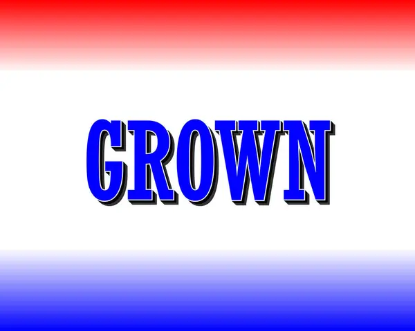 Mavili ve Beyazlı CROWN Metin Efekti Kırmızı-Beyaz-Mavi Gradyan