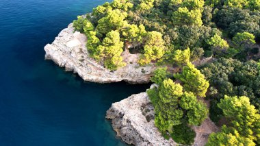 Yeşil ağaçlı kayalık kıyı manzaralı, Hırvat.