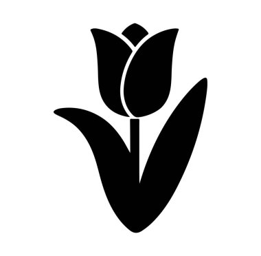 Lale Çiçeği Silüeti Sanat Çizimi.