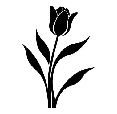 Lale Çiçeği Silüeti Sanat Çizimi.