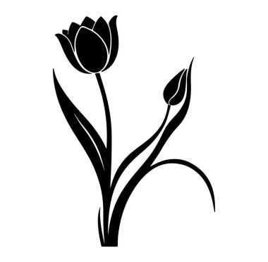 Lale Çiçeği Silüeti Sanat Çizimi.