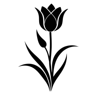 Lale Çiçeği Silüeti Sanat Çizimi.