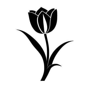 Lale Çiçeği Silüeti Sanat Çizimi.