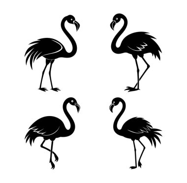 Flamingo Vektör Sanatı & İllüstrasyon