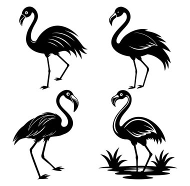 Flamingo Vektör Sanatı & İllüstrasyon