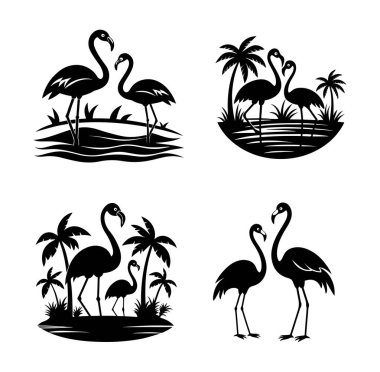 Flamingo Vektör Sanatı & İllüstrasyon