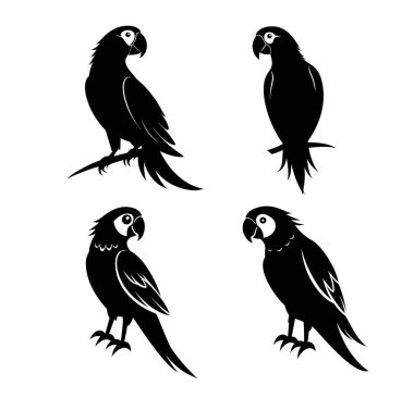 Papağanlar Vektör Siluet Sanat ve Görüntü