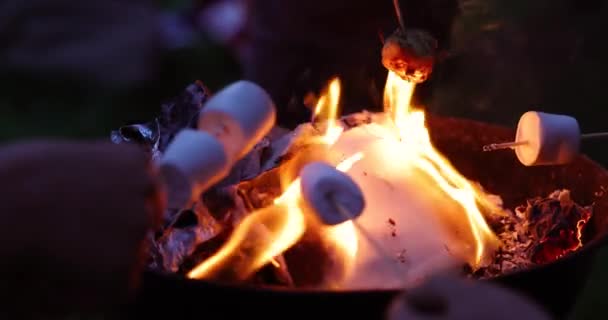 Çocukların Kamp Alanındaki Ateş Çukurunda Şiş Üzerinde Marşmelov Kızartışlarını Izliyoruz — Stok video