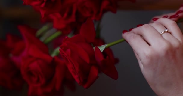 Γυναίκες Χέρι Κρατώντας Ένα Κόκκινο Τριαντάφυλλο Λουλούδια Για Τις Διακοπές — Αρχείο Βίντεο