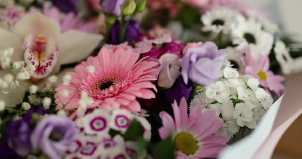 Μπουκέτο Λουλούδια Gerbera Ίριδα Μακροεντολή Ημέρα Της Μητέρας Ημέρα Του — Αρχείο Βίντεο