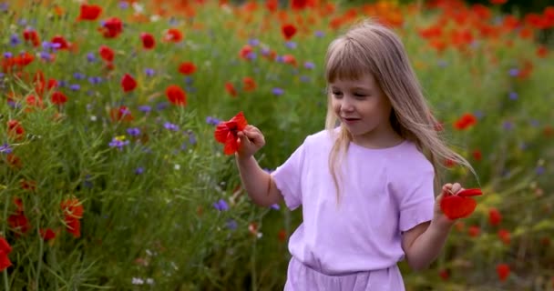 Маленькая Девочка Хорошем Настроении Танцует Цветами Маковом Поле Концепция Жизнерадостного — стоковое видео