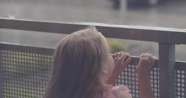 5岁的小女孩很高兴窗外有雨 快乐和平的童年 — 图库视频影像