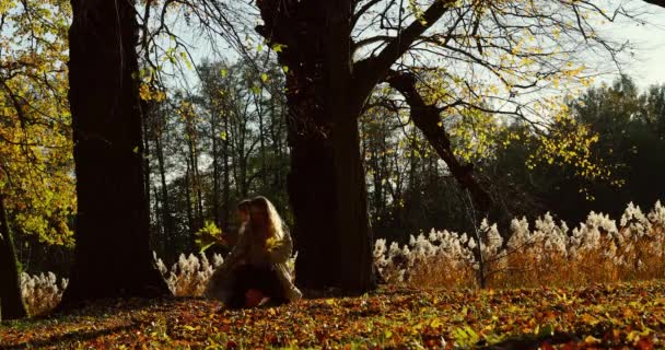 Anne Kızı Sonbahar Ormanında Eğleniyorlar Çocuklarla Tatiller Mutlu Zamanlar — Stok video
