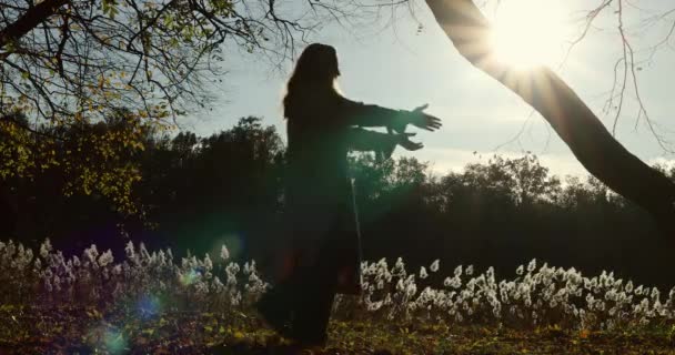 Мама Дочь Веселятся Осеннем Лесу Мать Крутит Свою Дочь Руках — стоковое видео