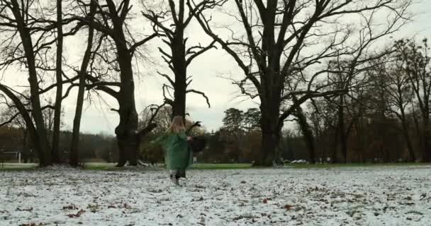 Video Una Chica Girando Alegremente Divirtiéndose Parque Durante Invierno — Vídeos de Stock