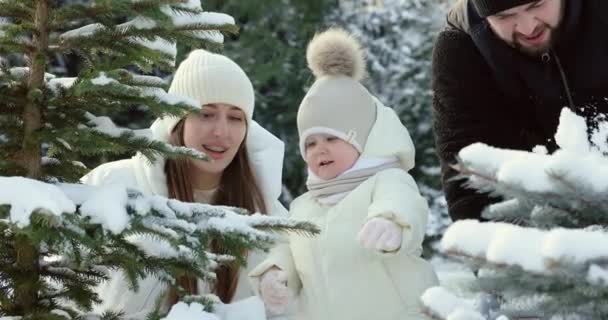 Νεαροί Γονείς Παιδί Τους Κοντά Χιονισμένα Δέντρα Μαμά Δείχνει Χιόνι — Αρχείο Βίντεο