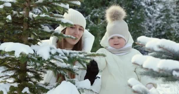 Matka Dcera Lesa Matka Vezme Zasněženou Větev Ukáže Svému Dítěti — Stock video