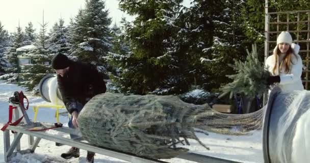 年轻的家庭在选择了圣诞树后 正在把它包起来 并把它带到他们的车上 — 图库视频影像
