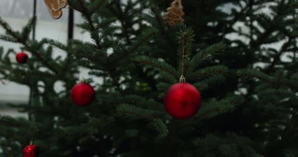 Video Muestra Árbol Navidad Azul Adornado Con Galletas Jengibre Adornos — Vídeo de stock