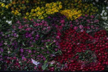 Parlak, renkli, güzel çiçeklerle dolu araba. Farklı, renkli lalelerle dolu araba..