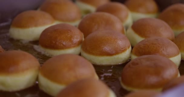 油中漂浮着又肥又好吃的甜甜圈 油炸圈饼 — 图库视频影像
