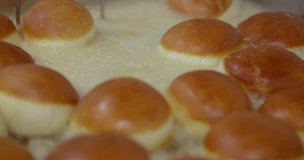Muita Gordura Deliciosos Donuts Flutuando Óleo Donuts Fritura — Vídeo de Stock