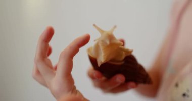 Bir Achatina salyangozunu elinde tutan, sağlıklı bir evcil hayvan için bakım, beslenme ve yaşam alanı düzenini gösteren, beslenme ve bakım tavsiyeleri veren yakın plan bir kız.
