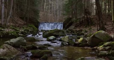 Bahar mevsiminin başlarında huzurlu bir orman şelalesi. Kristal berraklığında su kayaların üzerinde dalgalanır..