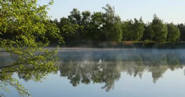 Sisli göl üzerinde yaz gündoğumu, kendisiyle yeniden bağlantı kurmak için rahatlatıcı bir manzara sunar. Yumuşak ışık ve kayan sis sessiz göl üzerinde huzur, yenilenme ve yansıma hissi uyandırır..