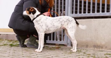 Kadın, köpeğiyle birlikte bir hayvan barınağında duruyor. Ailesine katılmak için evlat edindiği ikinci köpekle sevinçle buluşuyor..