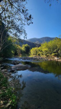 Berrak mavi gökyüzünün altındaki görkemli dağlarla çevrili gür, ormanlık bir vadiden akan sakin bir nehir doğanın barışçıl uyumunu somutlaştırıyor. Canlı yeşillik ve yansıtıcı su sakin bir atmosfer yaratır..