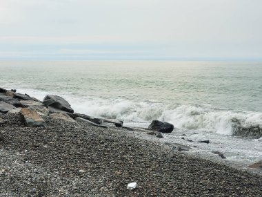 Deniz kıyısının güzel manzarası