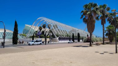 İspanya 'nın Valencia şehrinde palmiye ağaçları ve açık mavi gökyüzü ile çevrili modern bir mimari yapı..