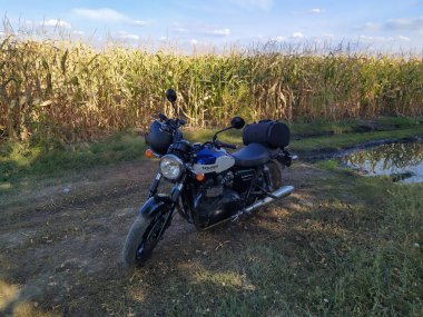 Eski bir Triumph motosikleti Dnipro, Ukrayna 'daki altın bir mısır tarlasının yanındaki kırsal bir yolda park etmiş, huzurlu bir kırsal atmosferi yakalıyor..