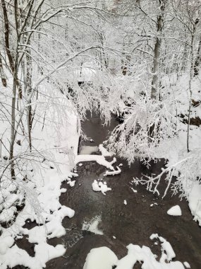 Karla kaplı dallar ve sakin ormanlarla çevrili, kışın doğanın güzelliğini gösteren akan bir derenin olduğu huzurlu bir kış manzarası..