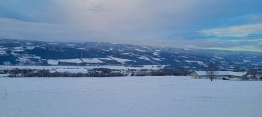 Kış Ormanı 'ndaki Kar Kaplamalı Sığınakta Atlar Besleniyor