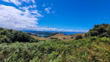 İspanya 'nın Bask Bölgesi' nde okyanusa giden yemyeşil tepelerin panoramik bir manzarası, pitoresk bir kıyı şeridi ve berrak bir gökyüzü var..
