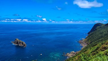 İspanya 'nın Bask Ülkesi' nin nefes kesici kıyı manzarası. Kayalık bir adacık, derin mavi bir okyanus ve parlak mavi gökyüzünün altındaki yemyeşil kayalıklar..