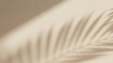 Açık bej bir duvarda yumuşak palmiye yaprağı gölgeleri olan minimalist bir estetik arka plan.