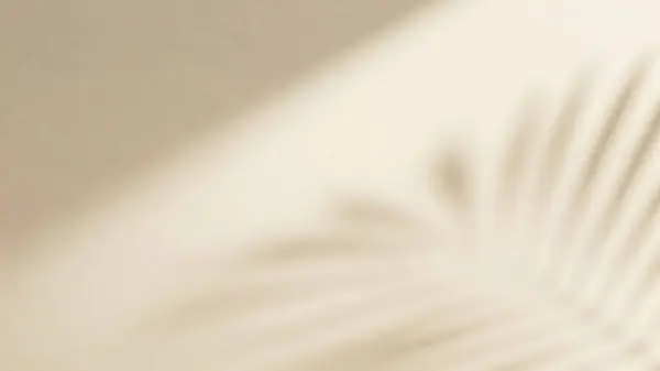 Açık bej bir duvarda yumuşak palmiye yaprağı gölgeleri olan minimalist bir estetik arka plan.