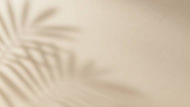 Açık bej bir duvarda yumuşak palmiye yaprağı gölgeleri olan minimalist bir estetik arka plan.