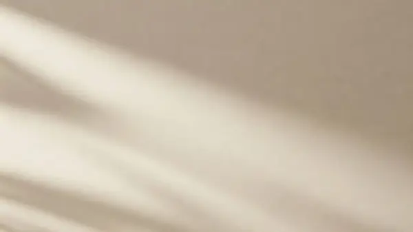 Açık bej bir duvarda yumuşak palmiye yaprağı gölgeleri olan minimalist bir estetik arka plan.